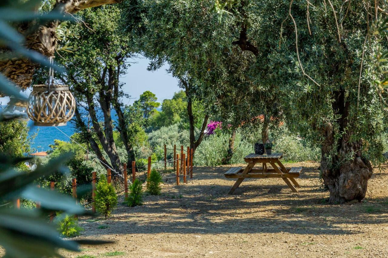 Olive Grove Apartment Скопелос Екстериор снимка