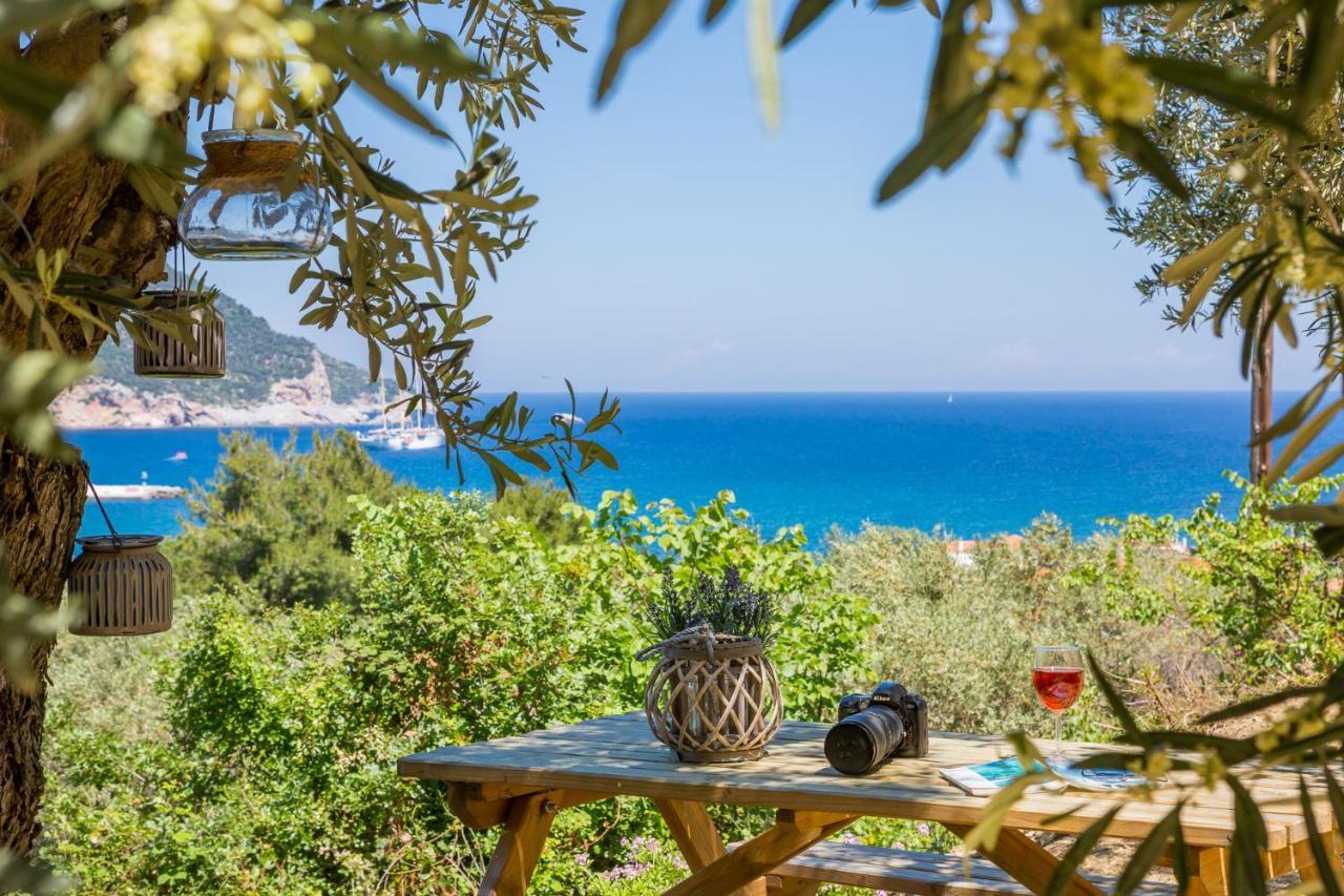 Olive Grove Apartment Скопелос Екстериор снимка